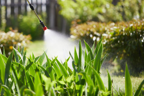 Tamper-Resistant Bait Stations for Rodents in Ten Mile Run