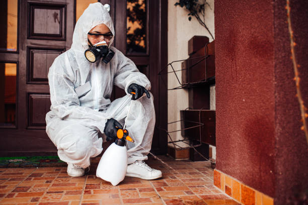 Attic and Crawl Space Rodent Treatment in Ten Mile Run